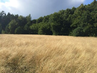 Ferienhaus Degeberga Außenaufnahme 6