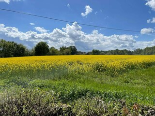 Ferienhaus Degeberga  17