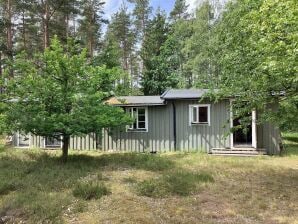 4 Personen Ferienhaus in DEGEBERGA