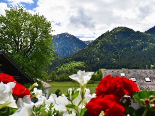 Wohnung Hornblick Balkonausblick