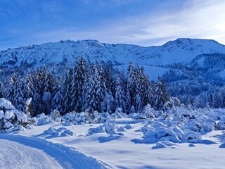 Winter in Hindelang 1