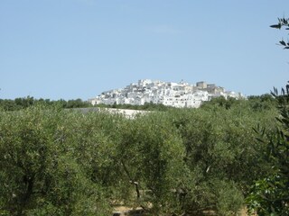 View of Ostuni from the garden