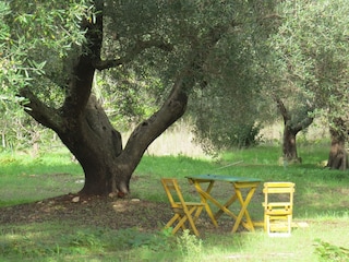 Vakantiehuis Ostuni Buitenaudio-opname 5
