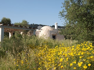 Trullo Sorella mit Patio