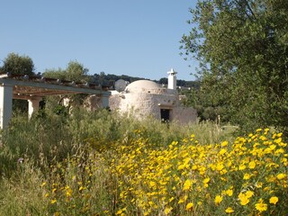 Trullo Sorella with patio