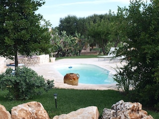 Pool mit Umgebung