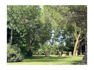 Holiday house Saint-Gilles Outdoor Recording 14