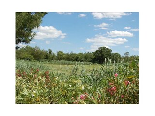 Holiday house Saint-Gilles Environment 39