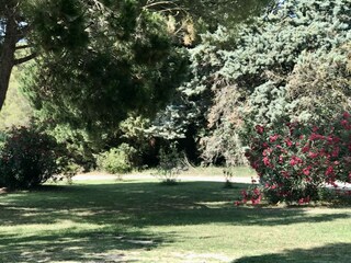 Holiday house Saint-Gilles Environment 40