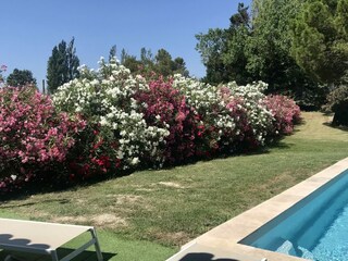 Holiday house Saint-Gilles Outdoor Recording 16