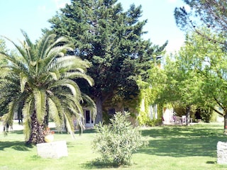 Holiday house Saint-Gilles Environment 41