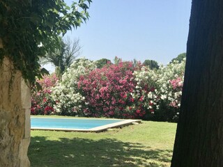 Holiday house Saint-Gilles Outdoor Recording 15