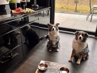 Fellnasen sind ebenfalls herzlich  willkommen..