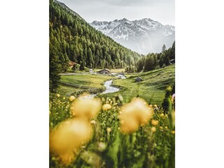 Horlachtal Larstighof