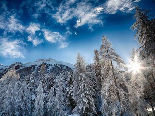 Hemerkogel Niederthai