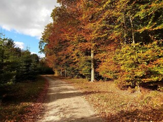 Holiday house Enø  10