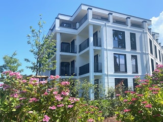 Ansicht - Grüner Weg