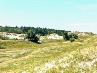 "Hohe Dünen"
