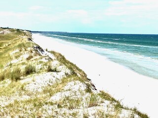 Appartamento per vacanze Zingst Ambiente 34