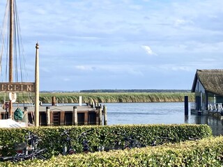 Vakantieappartement Zingst Omgeving 35
