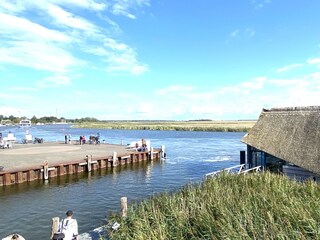 Apartamento de vacaciones Zingst Entorno 36