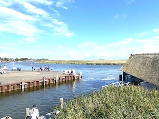 Vakantieappartement Zingst Omgeving 36