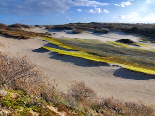 Dünen bei Westenschouwen