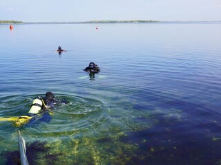 Tauchen im Grevelingenmeer
