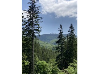 Blick zum Großen Inselsberg