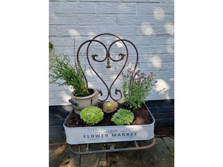 Vakantieappartement Burhave Buitenaudio-opname 1