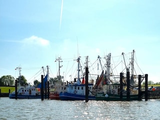 Fedderwardersieler Hafen