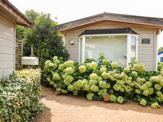 Chalet Noordwijk Outdoor Recording 1