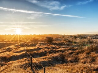 Chalet Noordwijk Environment 20