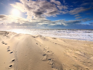 Chalet Noordwijk Environment 23