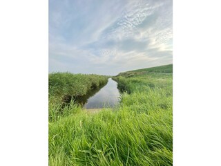 der Westfriese Omring Deich