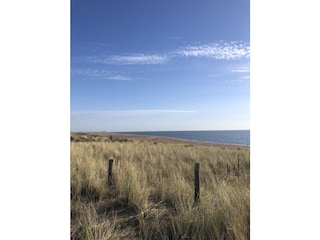 Petten am Meer