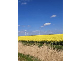 Vakantiehuis Pewsum Omgeving 20