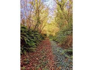 Casa per le vacanze Vesly Ambiente 35