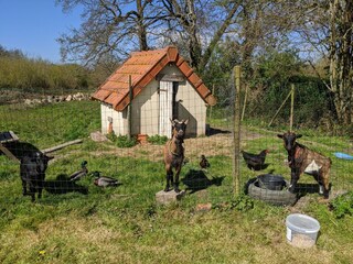 Casa per le vacanze Vesly Registrazione all'aperto 13