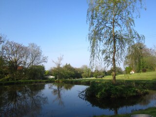 Duck Pond