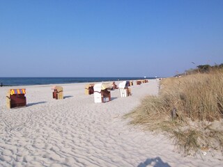 Strand vor dem Miramare