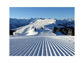 Ferienhaus Piesendorf Umgebung 35