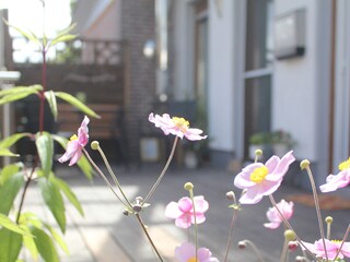Terrasse Ferienwohnung Eldingen