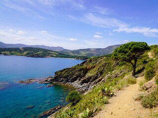 Holiday apartment Argelès-sur-Mer Environment 25