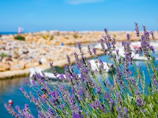 Ferienwohnung Argelès-sur-Mer Umgebung 27