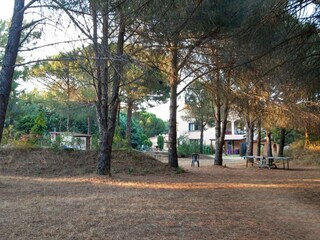 Ferienwohnung Argelès-sur-Mer Außenaufnahme 8