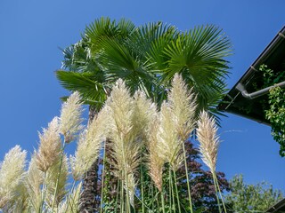 Ganz oft ist der Himmel soooo blau!