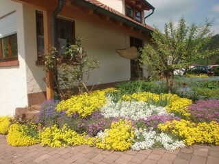 Appartement Bruchweiler-Bärenbach Buitenaudio-opname 3