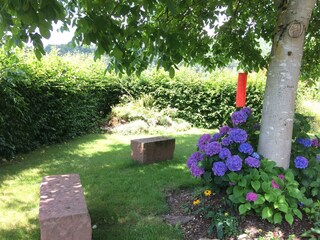 Appartement Bruchweiler-Bärenbach Buitenaudio-opname 13