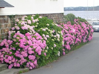 Ferienhaus Plomodiern Umgebung 28